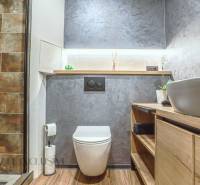 Badezimmer in einer 3-Zimmer-Wohnung mit Toilette, Waschbecken und Duschkabine.