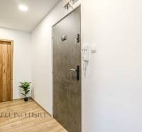 Der Flur in der 3-Zimmer-Wohnung mit Holztüren und Holzboden, eine Pflanze in der Ecke.
