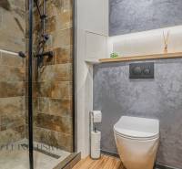 Badezimmer mit Toilette und Dusche in einer 3-Zimmer-Wohnung, mit grauen Wänden und Holzakzenten.