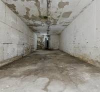 Kellerraum mit beschädigten Wänden und Decke in einem Einfamilienhaus.