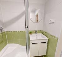 Badezimmer mit Waschbecken und Duschkabine in einer Einzimmerwohnung.