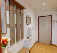 Flur mit Garderobenwand, Spiegel und Blumen, Einrichtung einer Einzimmerwohnung.
