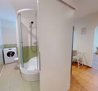 Badezimmer mit Waschmaschine und Duschkabine in einer Einzimmerwohnung, gemütlicher Übergang ins Wohnzimmer.