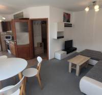 Wohnzimmer einer Zweizimmerwohnung mit Sitzgarnitur, Esstisch und Kochnische.