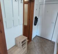 Diele einer 2-Zimmer-Wohnung mit Einbauschrank, Fliesenboden und Türen in Holzoptik.
