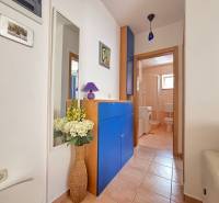 Der Flur in einer 2-Zimmer-Wohnung mit Zugang zum Badezimmer, blauen Möbeln und dekorativen Blumen.