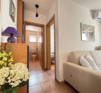 Helle 2-Zimmer-Wohnung mit bequemer Couch und Badezimmer mit Zugang vom Flur.