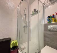 Badezimmer in einer 2-Zimmer-Wohnung mit einer Eckdusche und einem Regal für Reinigungsmittel.