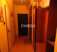 Flur in einer 2-Zimmer-Wohnung mit Beleuchtung, Holzmöbeln und Eingangstür.