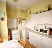 Küche in einer 2-Zimmer-Wohnung mit weißer Küchenzeile, Mikrowelle und Dekorationen.