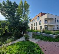 Ein Wohnhaus umgeben von Grün auf der Vtáčia-Straße in Senec, neben einer Wasserfläche.