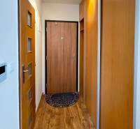 Der Flur in einer 2-Zimmer-Wohnung mit Holzboden und Einbauschrank.