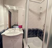 Badezimmer in einer 2-Zimmer-Wohnung mit Waschbecken, Dusche und Spiegel über dem Schrank.