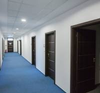 Büroräume mit blauem Teppich und dunklen Türen, Beleuchtung an der Decke.