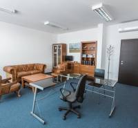 Stilvolles Bürointerieur mit antiken Ledermöbeln und Glastisch.