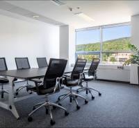 Kanzleien mit Konferenztisch und Stühlen, Fenster mit Blick auf Grünflächen.