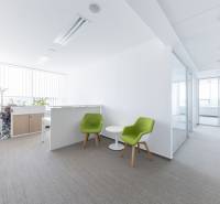 Helles Büro mit bequemen Stühlen und einem Konferenztisch, dekoriert mit Pflanzen.