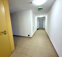 Beiger Flur mit hellen Wänden in einer 2-Zimmer-Wohnung, Tür auf der linken Seite.