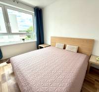 Helles Schlafzimmer mit großem Fenster und Holzbett in einer 2-Zimmer-Wohnung.