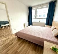 Helles Schlafzimmer in einer 2-Zimmer-Wohnung mit Bett, Fenster und Blick ins Wohnzimmer.