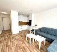 Wohnzimmer in einer 2-Zimmer-Wohnung mit Holzboden und Kochnische.