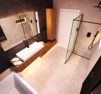 Ein Badezimmer mit Holzmöbeln, einer Duschkabine und einer dunklen Wand in einem Einfamilienhaus.