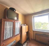 Vintage Möbel und Fernseher in einer 3-Zimmer-Wohnung mit Blick aus dem Fenster.