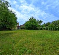 Ein Garten mit Rasen und einem Baum bei einem Einfamilienhaus in Vidiná, umgeben von grüner Natur.
