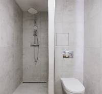 Badezimmer mit Dusche und Toilette, minimalistischer Stil in einer 2-Zimmer-Wohnung.