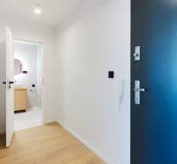 Eingangshalle in einer 2-Zimmer-Wohnung mit Holzboden und Badezimmer im Hintergrund.