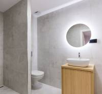 Badezimmer in einer 2-Zimmer-Wohnung mit Waschbecken, Spiegel und Duschkabine.