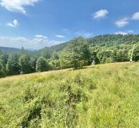Landschaft in der Nähe des Waldes mit Blick auf die Berge in Oščadnica, Standort Dedovka, Grundstücke - Wohnen.
