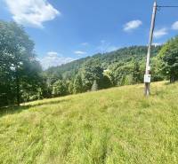 Ein Blick auf eine grüne Wiese mit einem Waldhintergrund in der Gegend von Oščadnica in Dedovka, geeignet für Grundstücke - Wohnen.