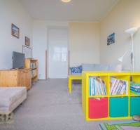 Ein Zimmer in der 3-Zimmer-Wohnung enthält ein Sofa, einen Fernseher, Bücherregale und bunte Boxen.