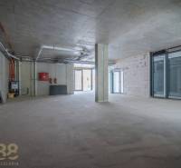 Geräumige Geschäftsräume mit Betonwänden und großen Glastüren.