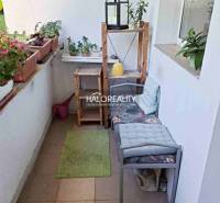 Balkon einer 3-Zimmer-Wohnung mit Blumen, Regalen und Sitzgelegenheiten in BA - Dúbravka.