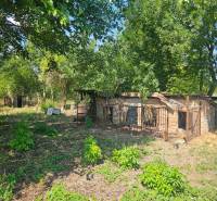 Ein Garten in Hronovce mit verlassenen Gebäuden eines Einfamilienhauses, umgeben von Bäumen.
