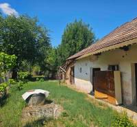Garten mit Rasen, Bäumen und einem alten Familienhaus in Hronovce.