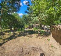 Der Garten des Einfamilienhauses in Hronovce mit Rasen und Bäumen an einem sonnigen Tag.