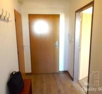Flur mit Holztüren und Kleiderhaken in einer Einzimmerwohnung.