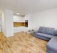 Wohnzimmer in einer 2-Zimmer-Wohnung mit Küche, Sofa und Esstisch.