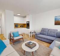 Wohnzimmer in einer 2-Zimmer-Wohnung mit Sofas, Couchtisch und Küche.