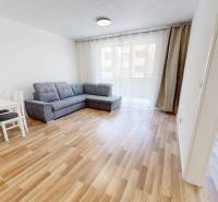 Wohnzimmer in einer 2-Zimmer-Wohnung mit Sofa, Tisch und Stühlen auf Holzboden.