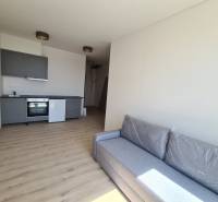 Innenraum einer Einzimmerwohnung mit Küchenzeile und grauem ausziehbarem Sofa.