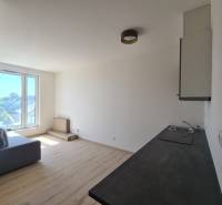 Helles Wohnzimmer mit Küchenzeile in einer Einzimmerwohnung, Holzböden, großes Fenster.
