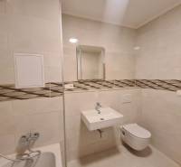 Badezimmer mit Spiegel, Waschbecken und Toilette in einer Einzimmerwohnung.