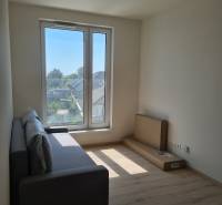 Einzimmerwohnung mit Sofa, großem Fenster und Blick auf die Häuser.
