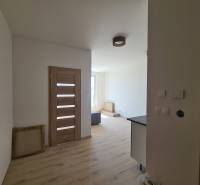 Innenraum einer Einzimmerwohnung mit Holzboden, Türen und weißen Wänden.
