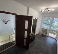Innenraum eines Einfamilienhauses mit Flur, Treppe und geräumigem Blick auf den Garten.