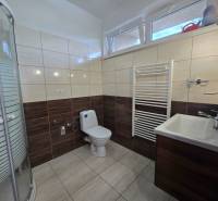 Badezimmer in einem Einfamilienhaus mit Toilette, Waschbecken und Dusche.